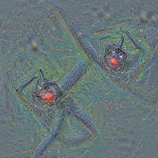 n01774384